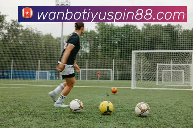 万博体育平台生态图