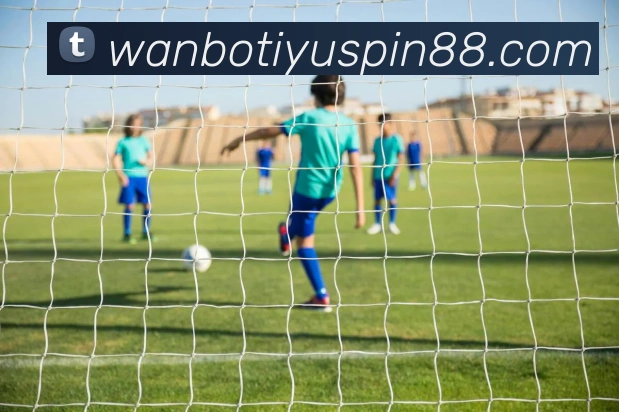 万博体育APP 封面图